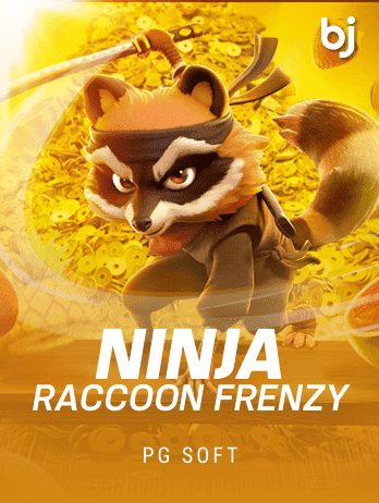 Ninja Raccoon Frenzypng thumbnail